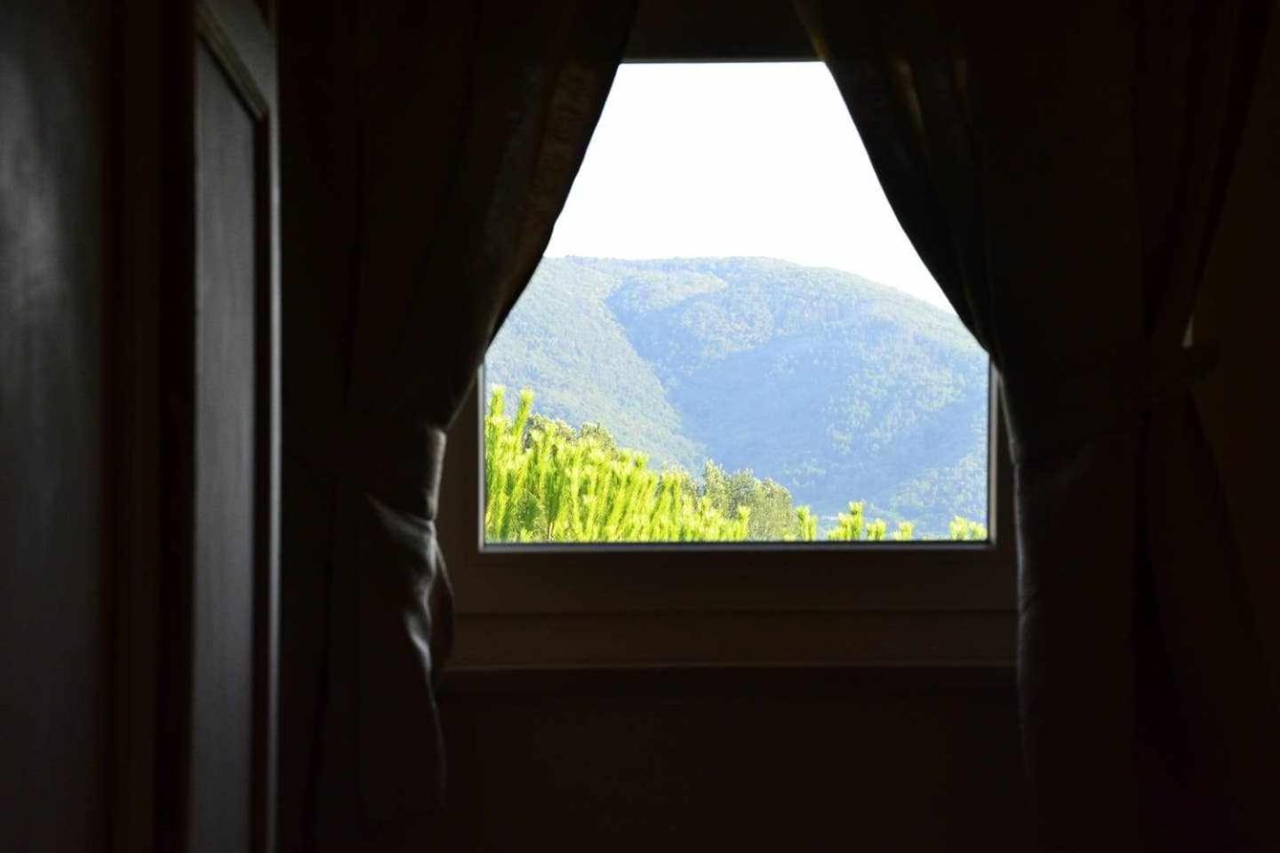 B&B La Bella Lucca Værelse billede